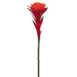 Flame/Red