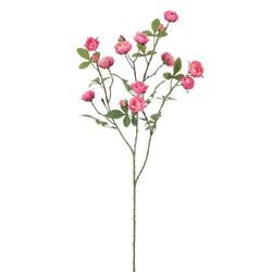 Options – Pink