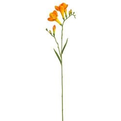 Options – Orange