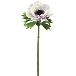 Options – Cream/Lavender