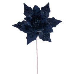 Midnight Blue
