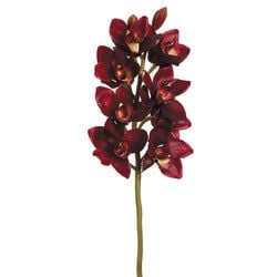 Options – Burgundy