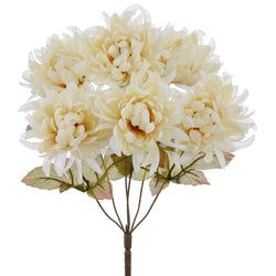 Cream