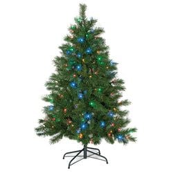 5' Multi Colored Lights
