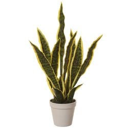 Variegated
