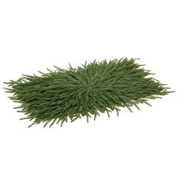 30" Rectangular