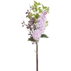 Lavender/Purple