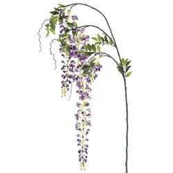 2 Tone Lavender