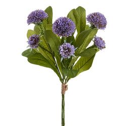 Options – Purple