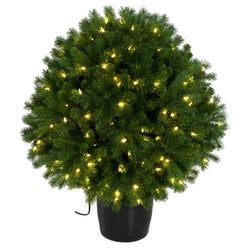 3'3" LED
