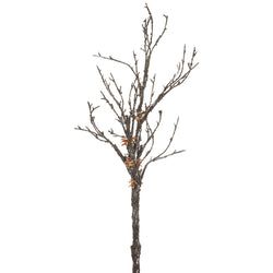 42"