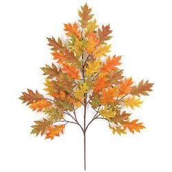 Options – Orange