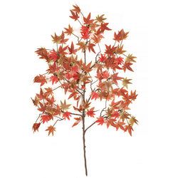 Red/Brown