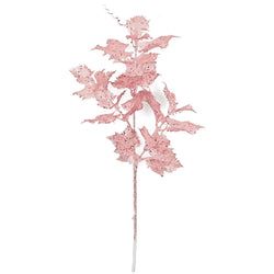 Pink/Rose