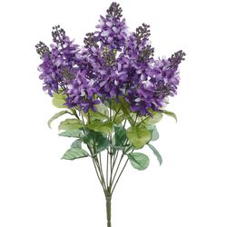 2 Tone Violet