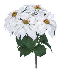 Cream/White