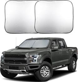 Large 