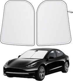 X- Large 