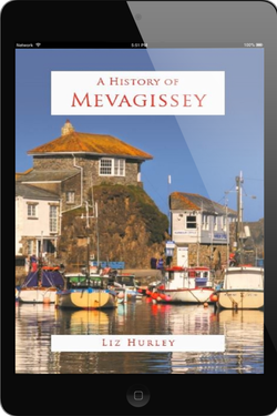 Meva Hist – Digital £3.99