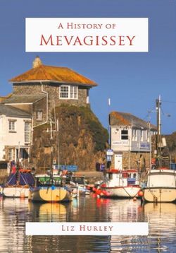 Meva Hist – Paperback £6.99
