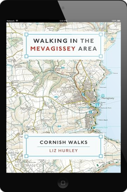 Walking in Mevagissey – Digital £3.99