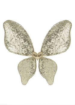 Sparkle Sequin Wings- Gold
