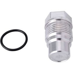 Fuel Rail Plug