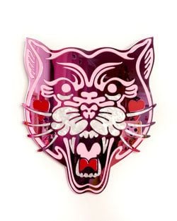Pink Mirror