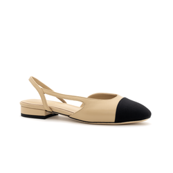 Colour – Beige and Black