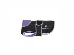 Black/Lilac