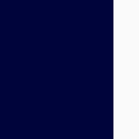 Navy/White