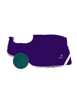 Purple/Teal