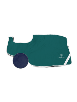 Teal/Navy
