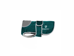 Teal/Grey