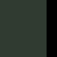 Colour – Black Forest Green/Black