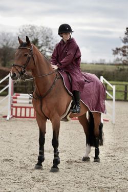 Plum/Grey