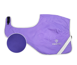 Violet/Purple 