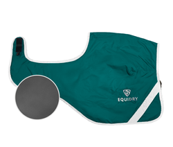 Teal/Grey