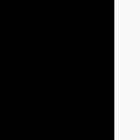 Black/White