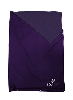 Purple/Purple