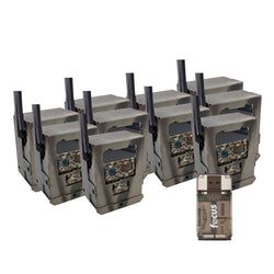 Pack Size – 10-Pack