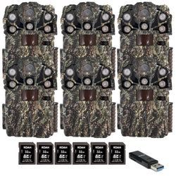 Pack Size – 6-Pack