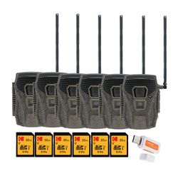 Pack Size – 6-Pack