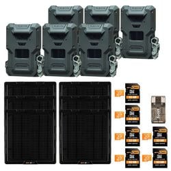 Pack Size – 6-Pack