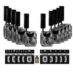 Pack Size – 10-Pack