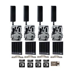 Pack Size – 4-Pack