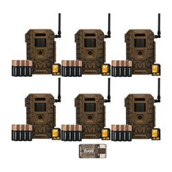 Pack Size – 6-Pack