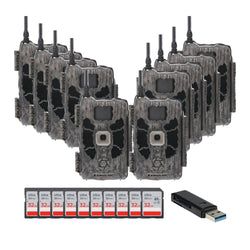 Pack Size – 10-Pack