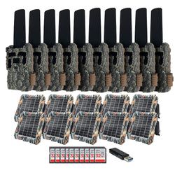 Pack Size – 10-Pack