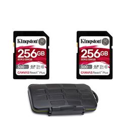 256GB Configuration – 256GB 2-Pack Kit
